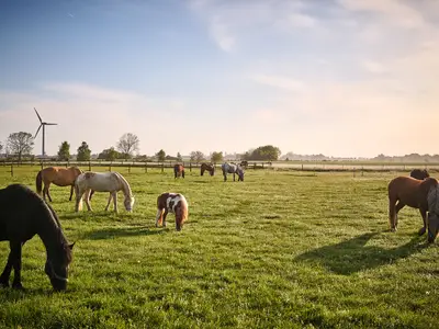 Traberhof- Es gibt so viele schöne Möglichkeiten...