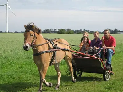 Ferienwohnung für 4 Personen in Hooksiel 6/10