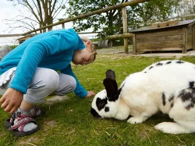 Ferienwohnung für 4 Personen in Hooksiel 9/10
