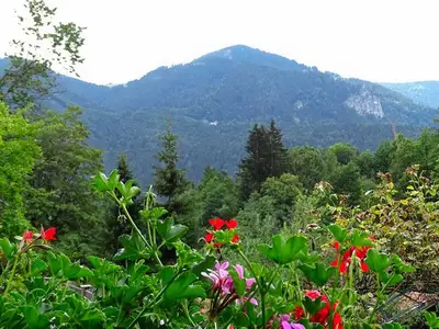 Ferienwohnung für 4 Personen (65 m²) in Kreuth 10/10