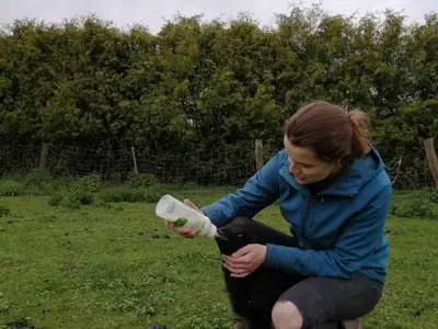 Ferienwohnung für 5 Personen (55 m²) in Barkau 8/10