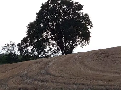 Ferienwohnung für 4 Personen (65 m²) in Barkau 10/10