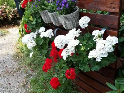 Ferienwohnung für 2 Personen (40 m²) in Barkau 7/7