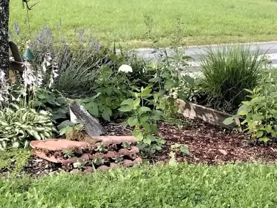 Ferienwohnung für 2 Personen (45 m²) in Wörterberg 7/10