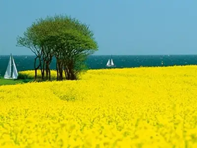 Ferienwohnung für 2 Personen (38 m²) in Trappenkamp 6/10
