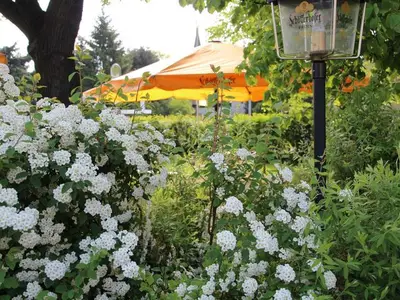 Ferienwohnung für 2 Personen (25 m²) in Lohsa 3/10