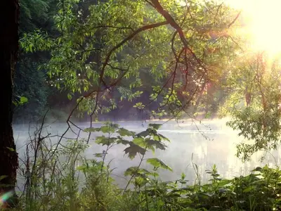 Ferienwohnung für 2 Personen (25 m²) in Lohsa 5/10
