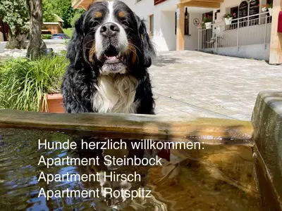 Hunde herzlich willkommen
