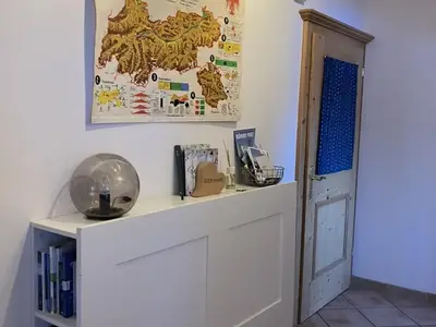 E2FF50FF-95E3-4E9A-ACD4-7B11D887AEE6_1_105_c