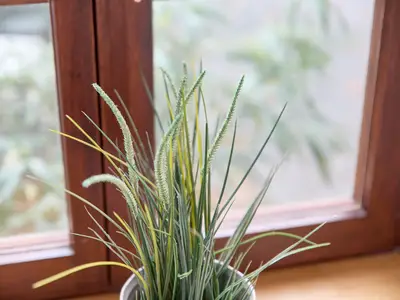 Ferienwohnung für 2 Personen in Bernkastel-Kues 5/10