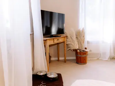 Hundeplatz und TV Ec