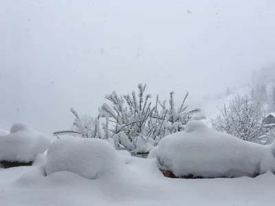 Blick vom Apartment "Corinna" in den Garten