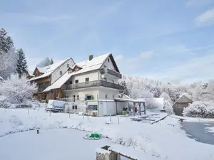 Ferienwohnung für 11 Personen (190 m²) in Schönsee