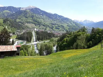 Ferienwohnung für 6 Personen in Grüsch 3/10