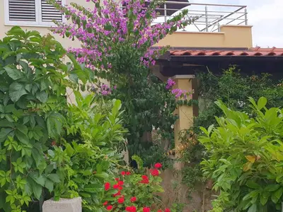 Ferienwohnung für 5 Personen (60 m²) in Milna 10/10