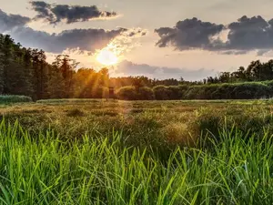 Ferienwohnung für 4 Personen (50 m²) in Lübbenau/Spreewald