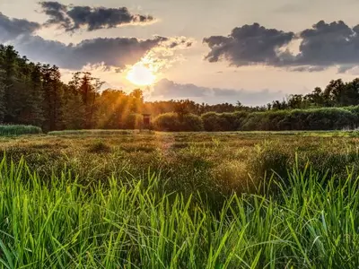 Ferienwohnung für 4 Personen (50 m²) in Lübbenau/Spreewald 1/10