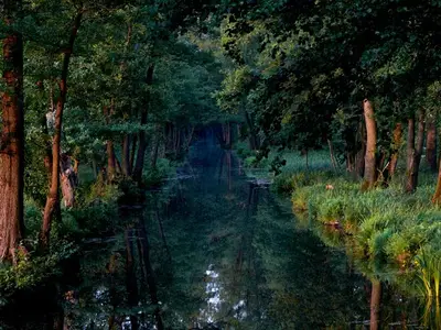 Ferienwohnung für 4 Personen (50 m²) in Lübbenau/Spreewald 2/10