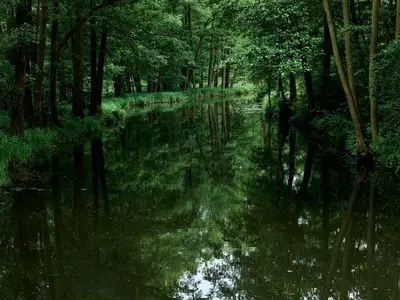 Ferienwohnung für 4 Personen (50 m²) in Lübbenau/Spreewald 3/10