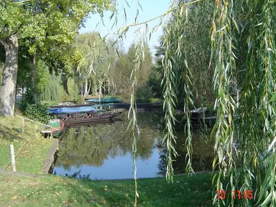 Ferienwohnung für 4 Personen (50 m²) in Lübbenau/Spreewald 8/10
