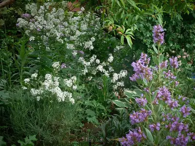 Ferienwohnung für 4 Personen (50 m²) in Lübbenau/Spreewald 9/10