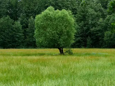 Ferienwohnung für 4 Personen (50 m²) in Lübbenau/Spreewald 4/10