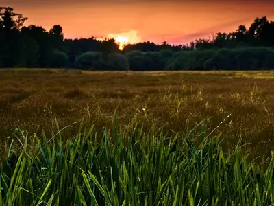 Ferienwohnung für 4 Personen (50 m²) in Lübbenau/Spreewald 5/10