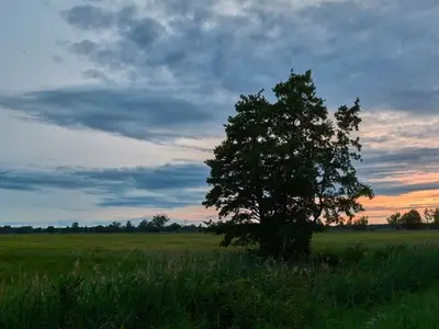 Ferienwohnung für 4 Personen (50 m²) in Lübbenau/Spreewald 6/10