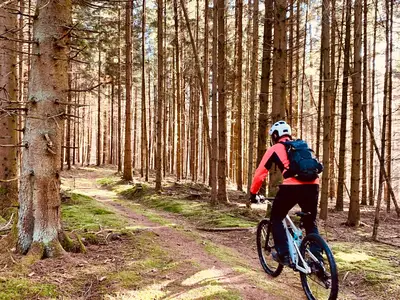 Am Wiesental-Mountainbiking im Odenwald