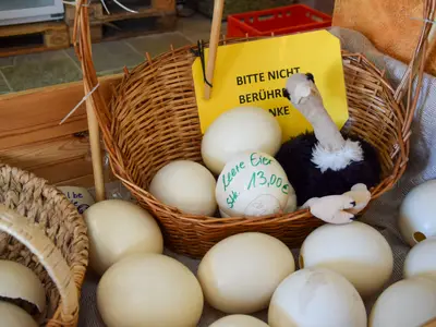 Eier mit Plüschstrauß