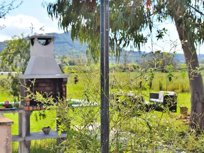 Ferienwohnung für 4 Personen (70 m²) in Balearen Inseln 7/10