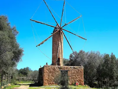 Ferienwohnung für 9 Personen (450 m²) in Son Serra de Marina 1/10