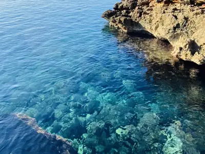 Ferienwohnung für 7 Personen (150 m²) in Binissafuller 7/10