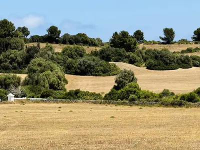 Ferienwohnung für 9 Personen (260 m²) in Port D'Addaia 7/10