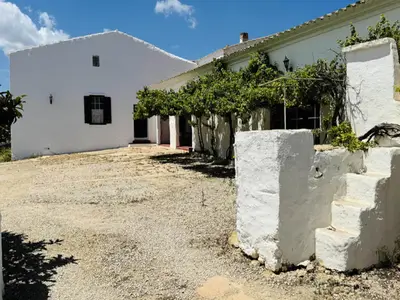 Ferienwohnung für 9 Personen (260 m²) in Port D'Addaia 8/10