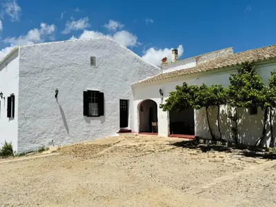 Ferienwohnung für 9 Personen (260 m²) in Port D'Addaia 9/10