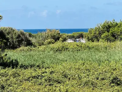 Ferienwohnung für 5 Personen (50 m²) in Son Bou 4/10