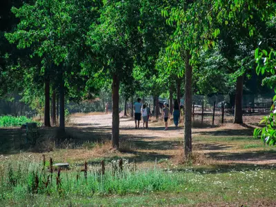 Ferienwohnung für 5 Personen (37 m²) 10/10