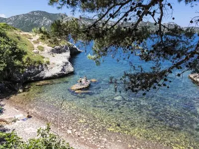 Ferienwohnung für 8 Personen (70 m²) in Oletta 2/10