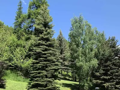 Ferienwohnung für 5 Personen (23 m²) in Les Molanez 9/10