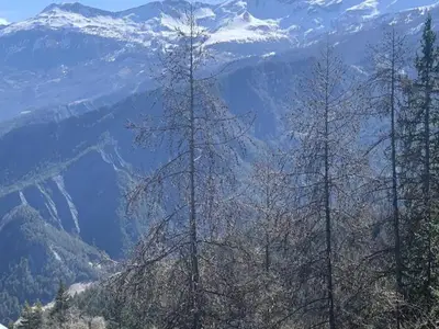 Ferienwohnung für 5 Personen (33 m²) in Praloup 10/10