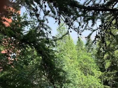 Ferienwohnung für 7 Personen (60 m²) in Praloup 5/10