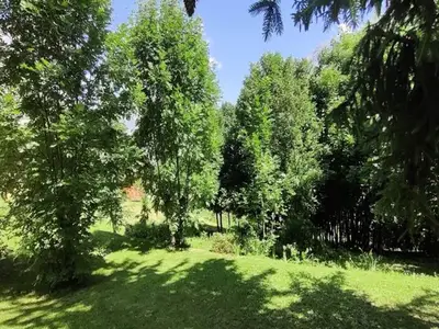 Ferienwohnung für 7 Personen (38 m²) 7/10