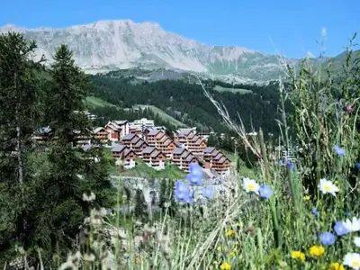 Ferienwohnung für 9 Personen (75 m²) in Vars 2/10