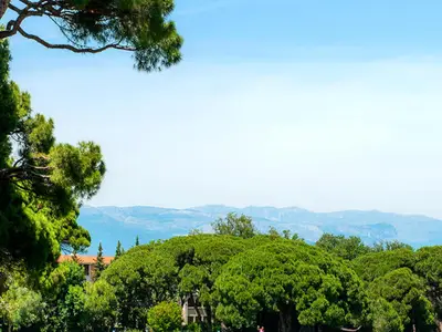 Ferienwohnung für 7 Personen (55 m²) in Mandelieu La Napoule 10/10