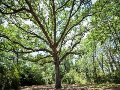 Ferienwohnung für 5 Personen (45 m²) 1/10