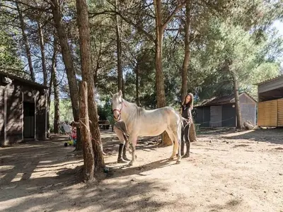 Ferienwohnung für 7 Personen (72 m²) 1/10