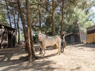 Ferienwohnung für 5 Personen (60 m²) 9/10