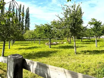 Ferienwohnung für 7 Personen (80 m²) in Pennedepie 10/10