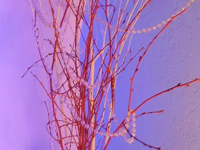 Ferienwohnung für 5 Personen (26 m²) 10/10